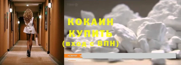 шишки Ладушкин