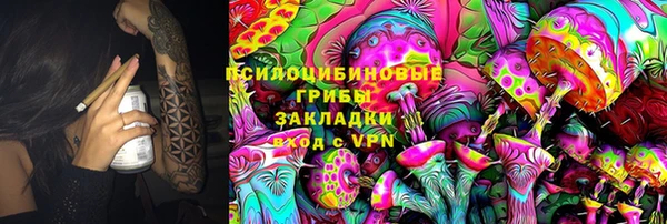 шишки Ладушкин