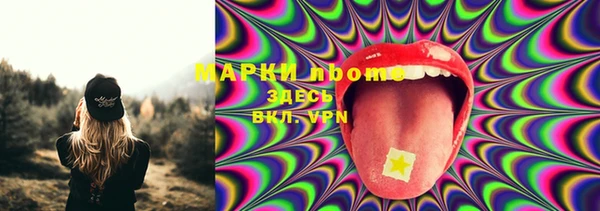 шишки Ладушкин