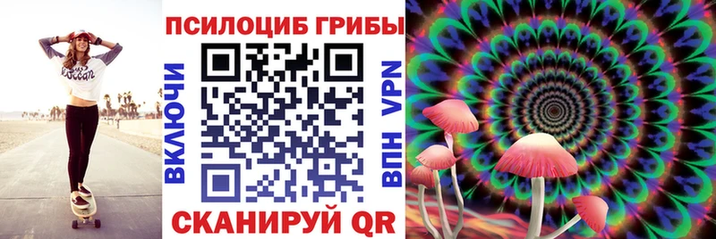 ОМГ ОМГ как войти  Ленинградская  Галлюциногенные грибы мицелий 